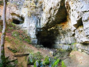 grot - kort verhaal - een bijzondere draak - vurix