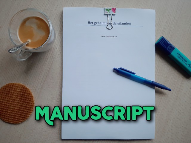 Weer een stap verder met mijn manuscript