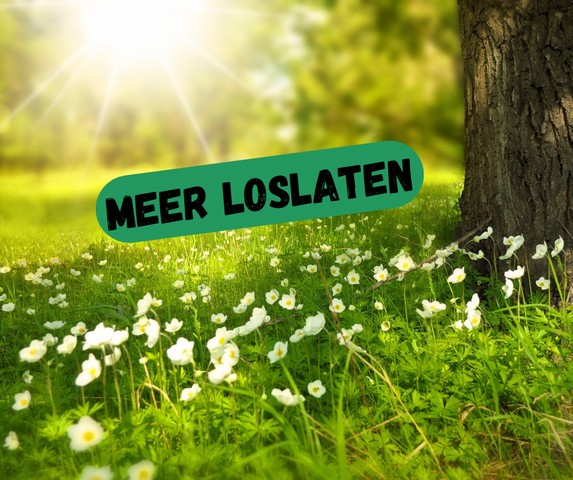 Meer loslaten