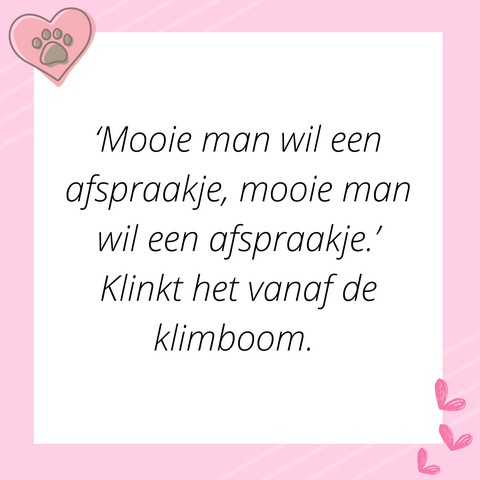 Verhaal van de maand - Isabella- deel 2 - quote 1