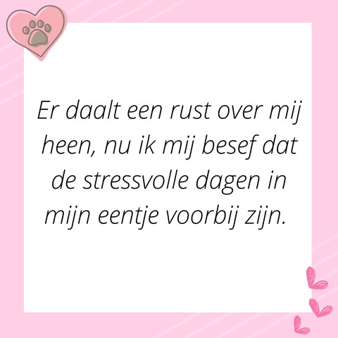 Verhaal van de maand - Isabella- deel 4 - quote 3