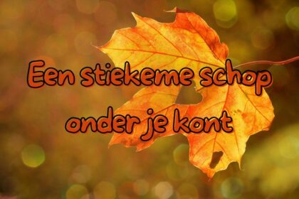 Een stiekeme schop onder je kont