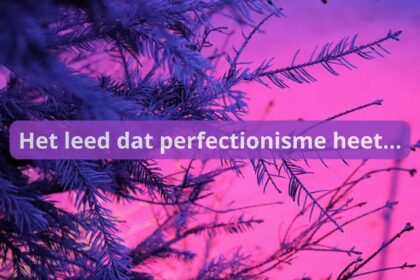 Het leed dat perfectionisme heet…